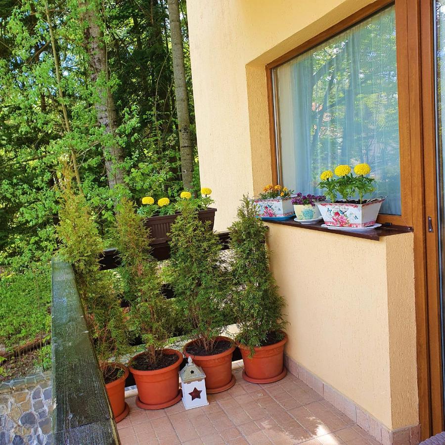 Apartament Forest *