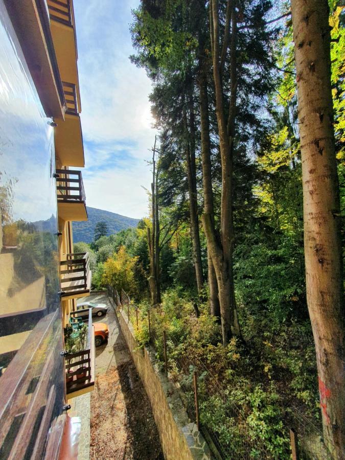Apartament Forest