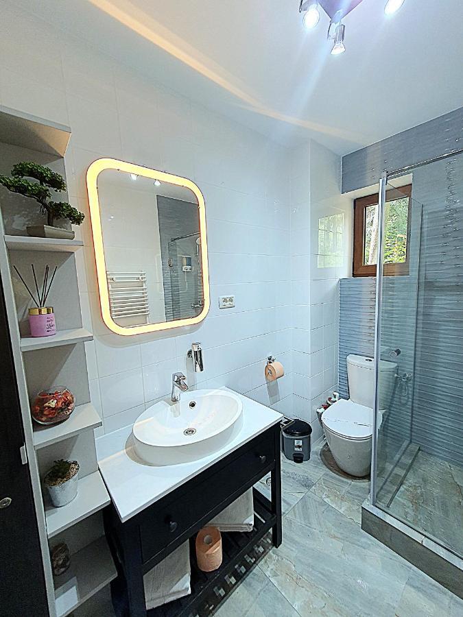 Apartament Forest